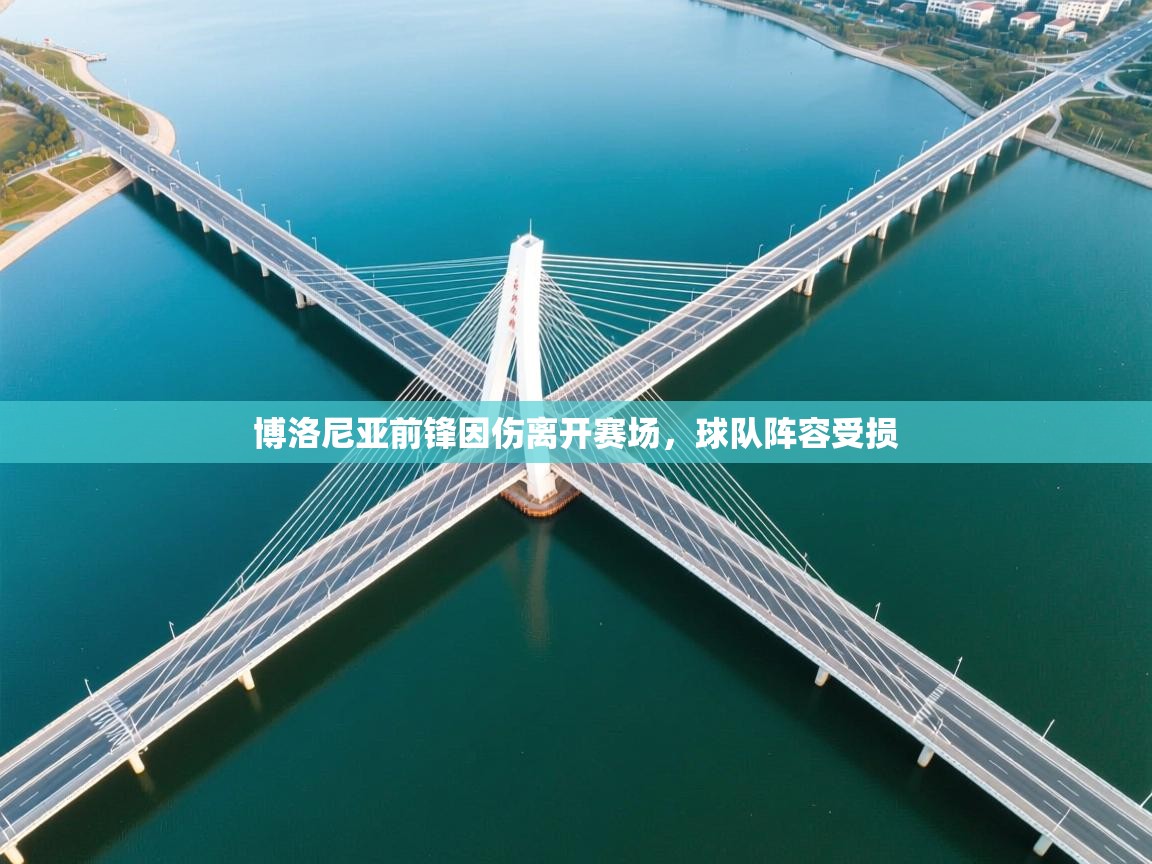 开云体育消息订阅关闭-博洛尼亚前锋因伤离开赛场，球队阵容受损  第2张