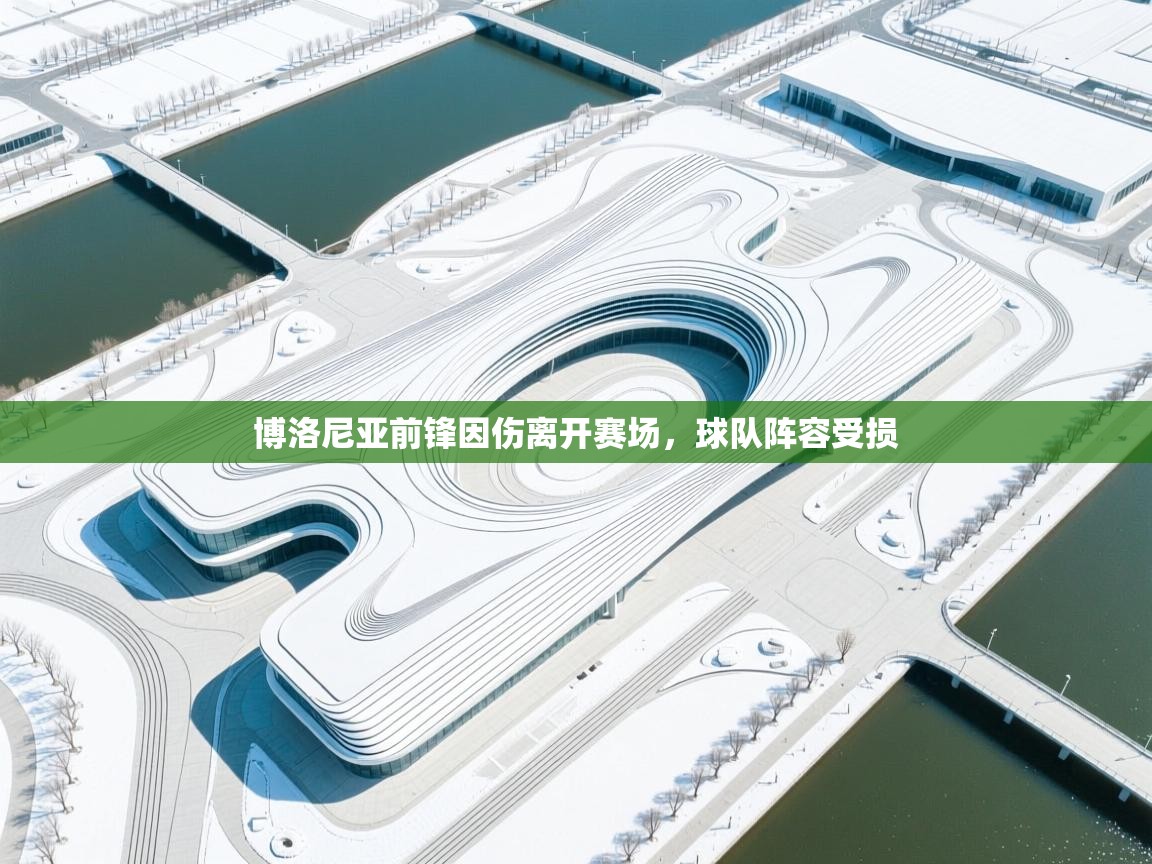 开云体育消息订阅关闭-博洛尼亚前锋因伤离开赛场，球队阵容受损  第3张