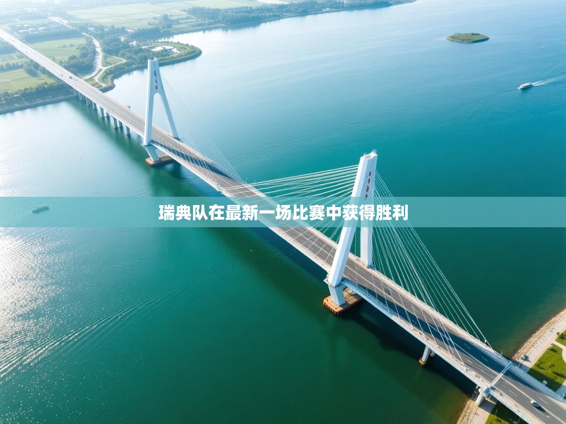 开云体育app登录入口-瑞典队在最新一场比赛中获得胜利  第1张
