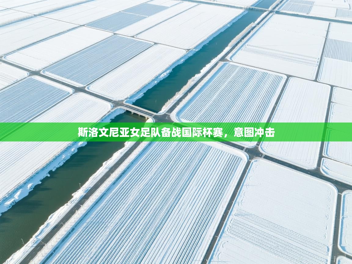 开云体育入口手机版-斯洛文尼亚女足队备战国际杯赛，意图冲击  第1张