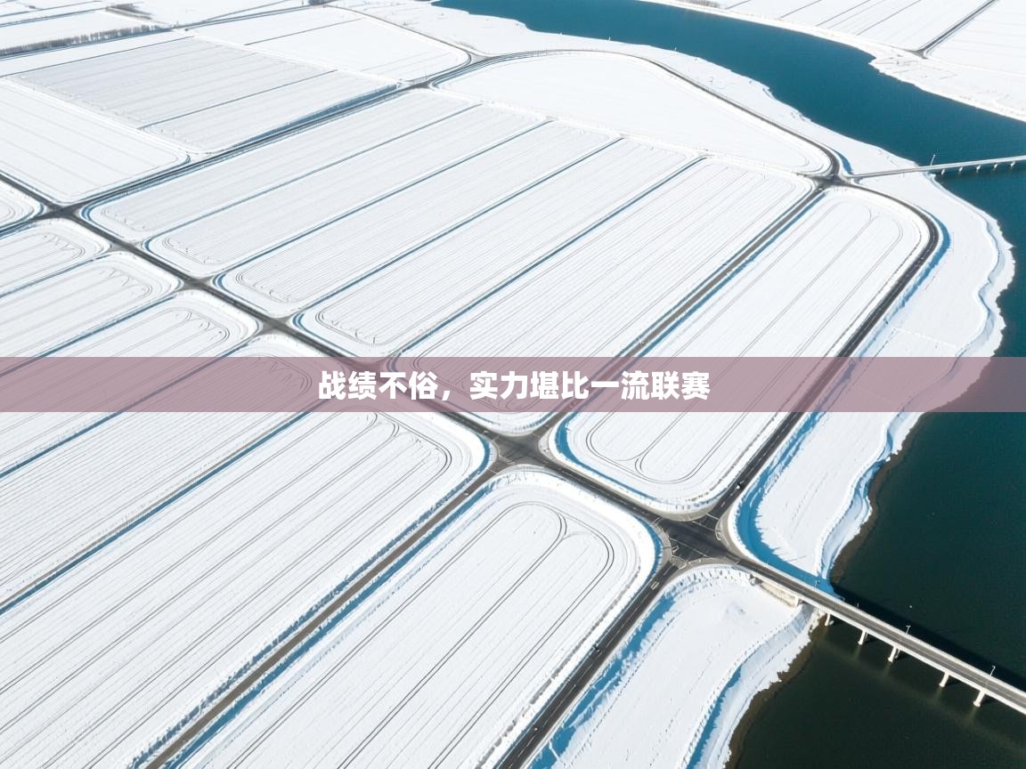 云开体育官网入口-战绩不俗，实力堪比一流联赛