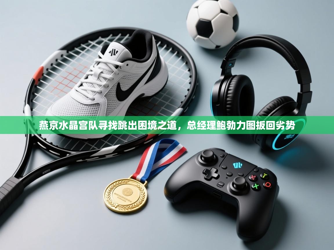 云开体育官网登录入口手机版-燕京水晶宫队寻找跳出困境之道，总经理鲍勃力图扳回劣势  第2张