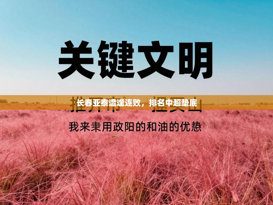 开云体育app官网网页登录入口-长春亚泰遭逢连败,排名中超垫底 第2张