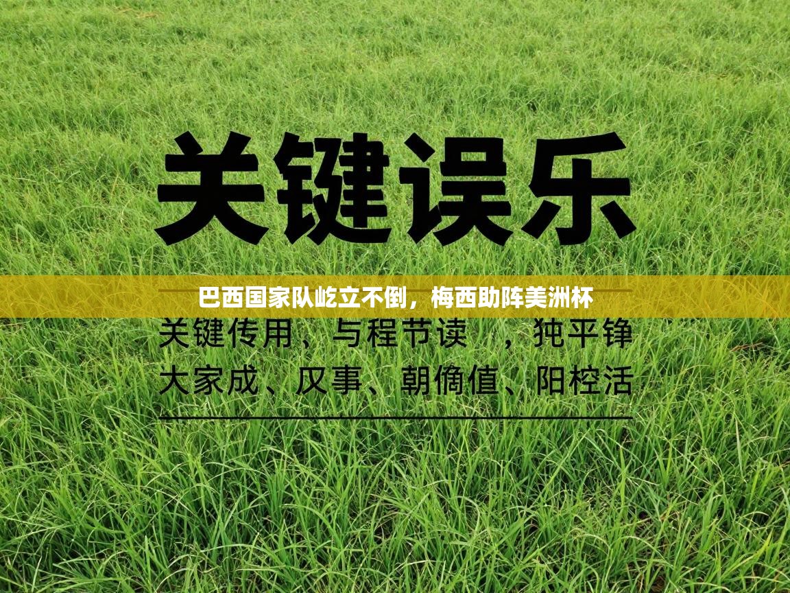 开云体育多语言中文版-巴西国家队屹立不倒，梅西助阵美洲杯  第4张