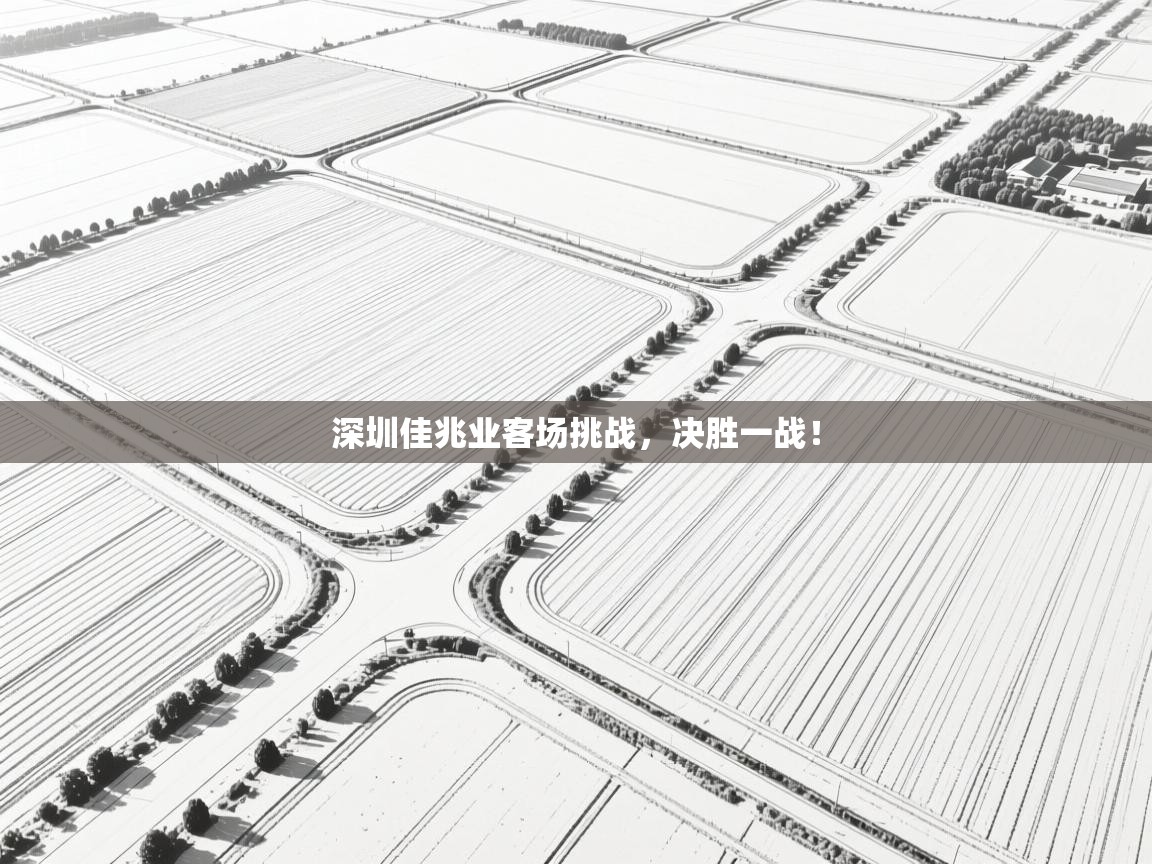 开云手机版-深圳佳兆业客场挑战，决胜一战！  第4张