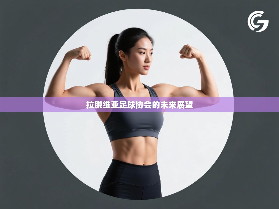 开云体育安装失败怎么办-拉脱维亚足球协会的未来展望  第3张