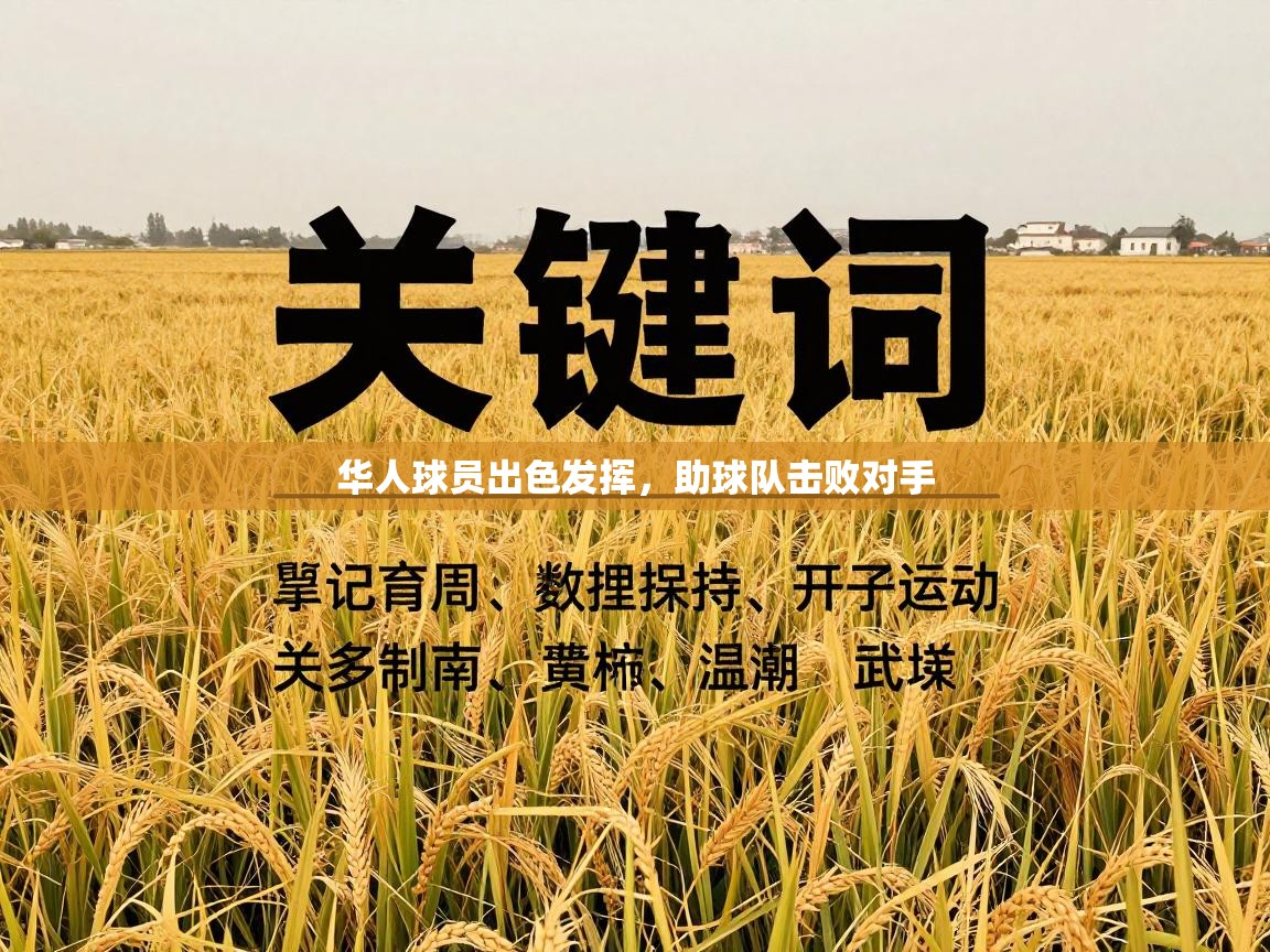 开云平台-华人球员出色发挥，助球队击败对手  第3张